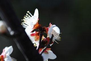 DSC_1982