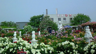 201005251508000.jpg