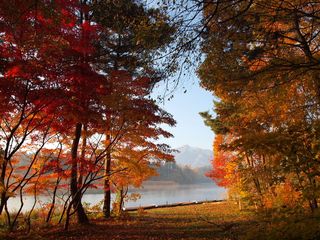 2009_1107今朝の津軽富士見湖周辺0026